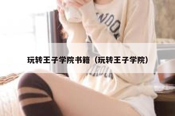 玩转王子学院书籍（玩转王子学院） 第1张
