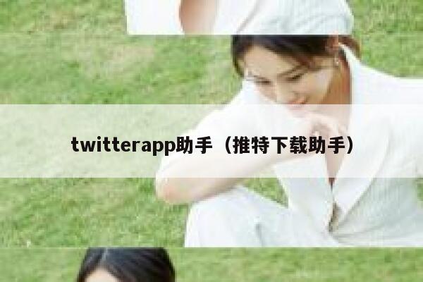 twitterapp助手（推特下载助手） 第1张