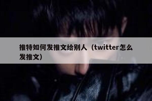 推特如何发推文给别人（twitter怎么发推文） 第1张