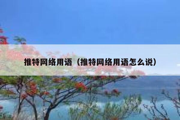 推特网络用语（推特网络用语怎么说） 第1张