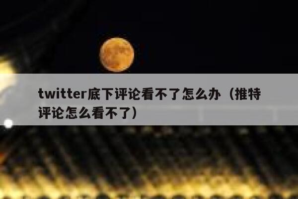 twitter底下评论看不了怎么办（推特评论怎么看不了） 第1张