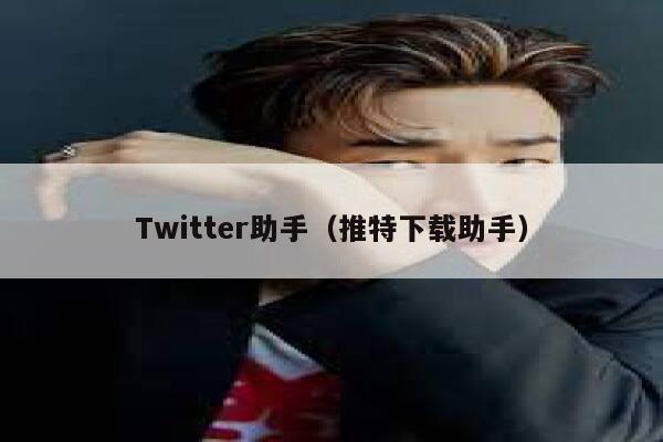 Twitter助手（推特下载助手） 第1张