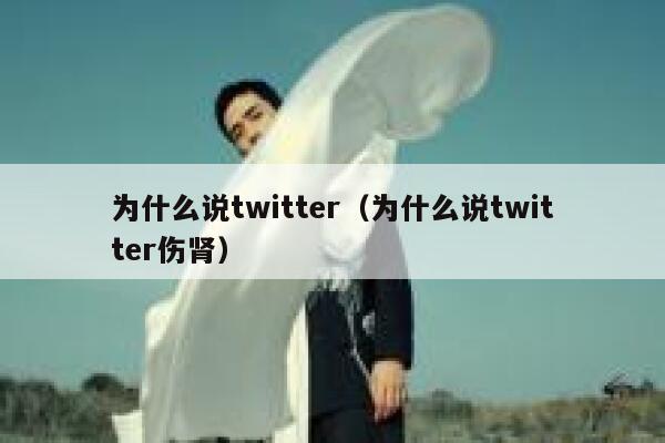为什么说twitter（为什么说twitter伤肾） 第1张