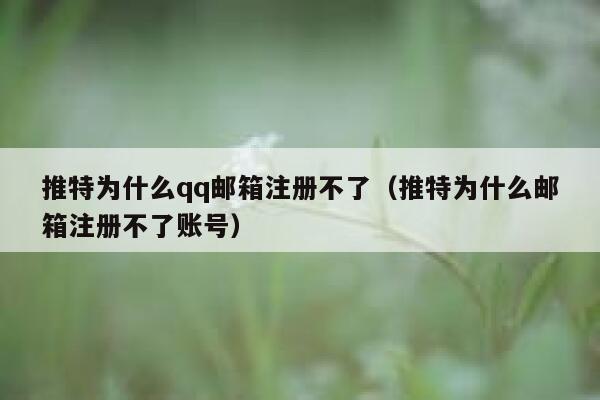 推特为什么qq邮箱注册不了（推特为什么邮箱注册不了账号） 第1张