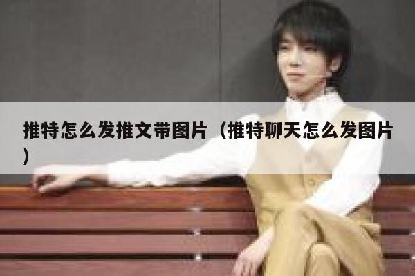推特怎么发推文带图片（推特聊天怎么发图片） 第1张