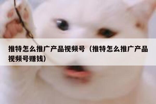 推特怎么推广产品视频号（推特怎么推广产品视频号赚钱） 第1张