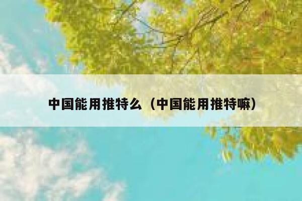 中国能用推特么（中国能用推特嘛） 第1张