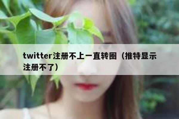 twitter注册不上一直转圈（推特显示注册不了） 第1张