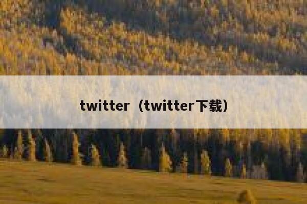 twitter（twitter下载） 第1张