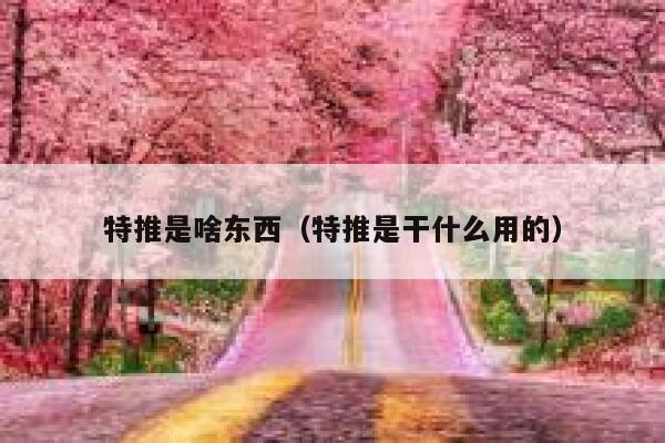 特推是啥东西（特推是干什么用的） 第1张