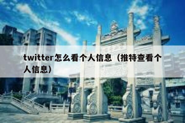 twitter怎么看个人信息（推特查看个人信息） 第1张