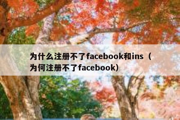 为什么注册不了facebook和ins（为何注册不了facebook） 第1张