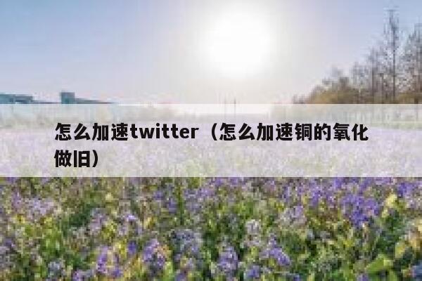 怎么加速twitter（怎么加速铜的氧化做旧） 第1张