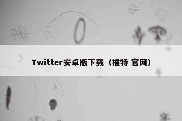 Twitter安卓版下载（推特 官网） 第1张