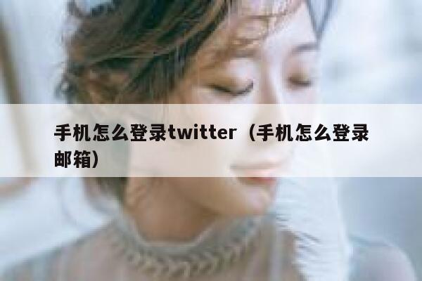 手机怎么登录twitter（手机怎么登录邮箱） 第1张