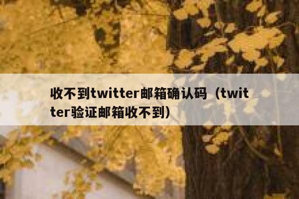 收不到twitter邮箱确认码（twitter验证邮箱收不到） 第1张