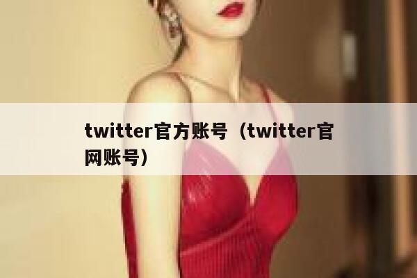 twitter官方账号（twitter官网账号） 第1张