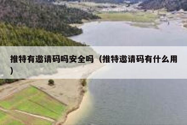 推特有邀请码吗安全吗（推特邀请码有什么用） 第1张
