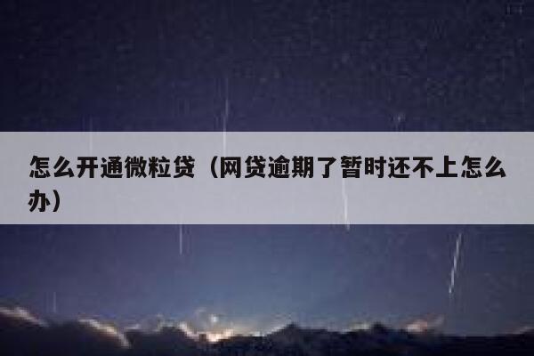 怎么开通微粒贷（网贷逾期了暂时还不上怎么办） 第1张