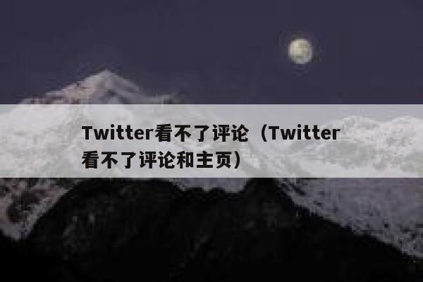 Twitter看不了评论（Twitter看不了评论和主页） 第1张