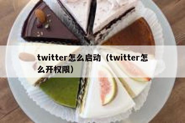 twitter怎么启动（twitter怎么开权限） 第1张