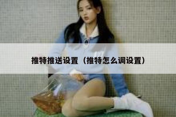 推特推送设置（推特怎么调设置） 第1张