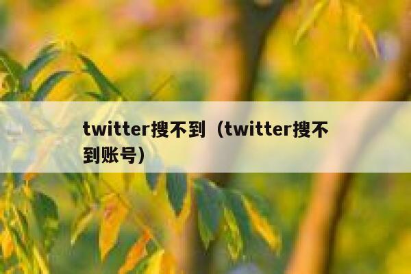 twitter搜不到（twitter搜不到账号） 第1张