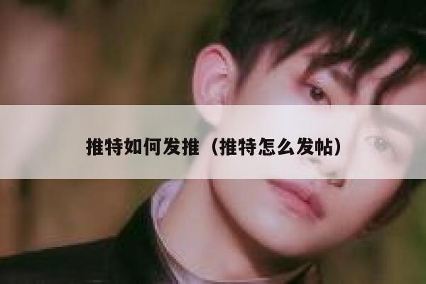推特如何发推（推特怎么发帖） 第1张