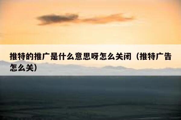 推特的推广是什么意思呀怎么关闭（推特广告怎么关） 第1张