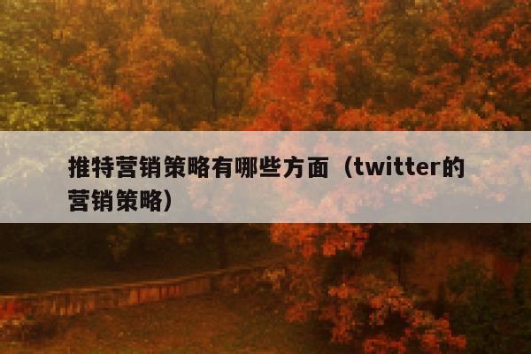 推特营销策略有哪些方面（twitter的营销策略） 第1张
