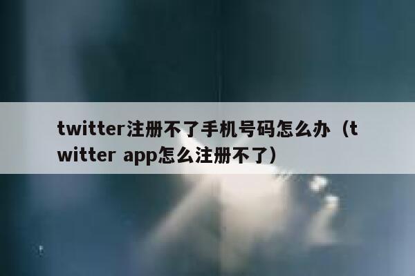 twitter注册不了手机号码怎么办（twitter app怎么注册不了） 第1张