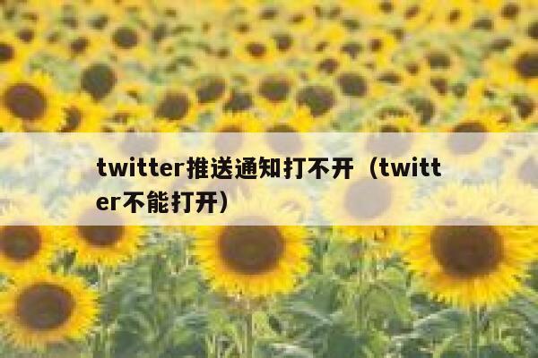 twitter推送通知打不开（twitter不能打开） 第1张