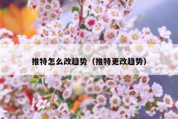 推特怎么改趋势（推特更改趋势） 第1张