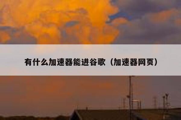 有什么加速器能进谷歌（加速器网页） 第1张