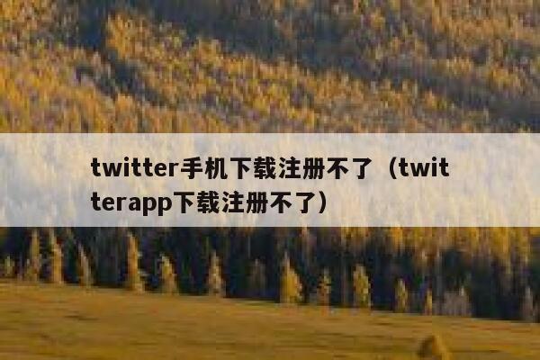 twitter手机下载注册不了（twitterapp下载注册不了） 第1张