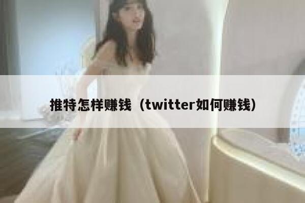 推特怎样赚钱（twitter如何赚钱） 第1张