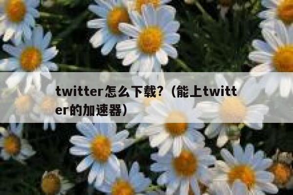 twitter怎么下载?（能上twitter的加速器） 第1张