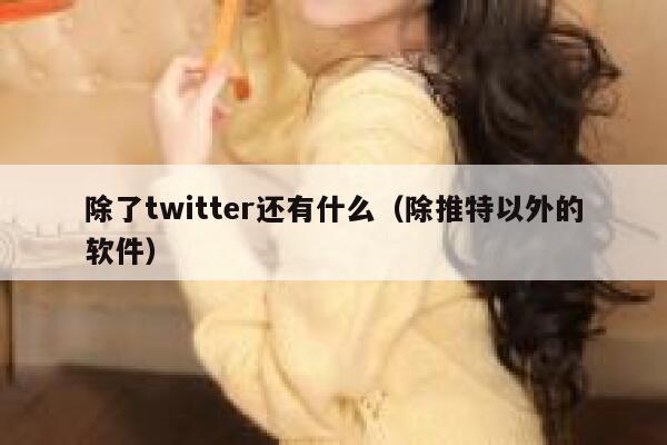 除了twitter还有什么（除推特以外的软件） 第1张