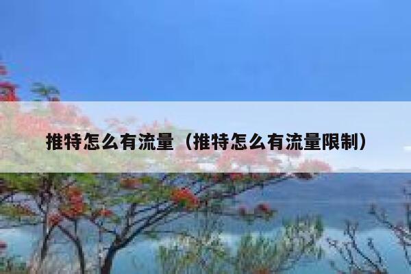 推特怎么有流量（推特怎么有流量限制） 第1张