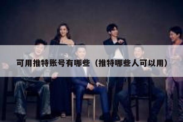 可用推特账号有哪些（推特哪些人可以用） 第1张