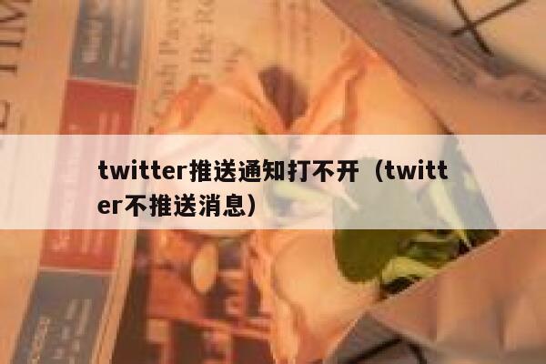 twitter推送通知打不开（twitter不推送消息） 第1张