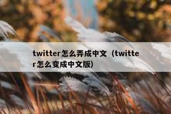 twitter怎么弄成中文（twitter怎么变成中文版） 第1张