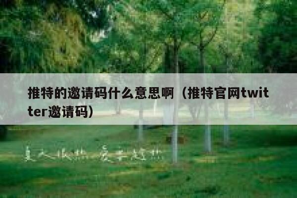 推特的邀请码什么意思啊（推特官网twitter邀请码） 第1张
