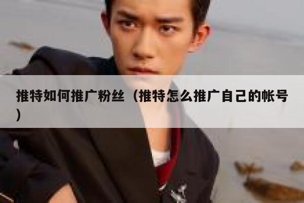 推特如何推广粉丝（推特怎么推广自己的帐号） 第1张