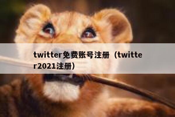 twitter免费账号注册（twitter2021注册） 第1张