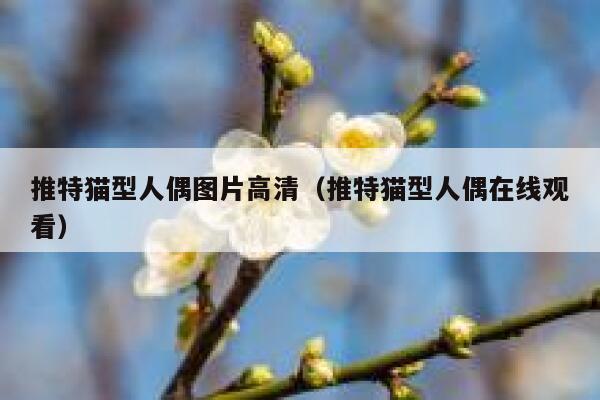 推特猫型人偶图片高清（推特猫型人偶在线观看） 第1张