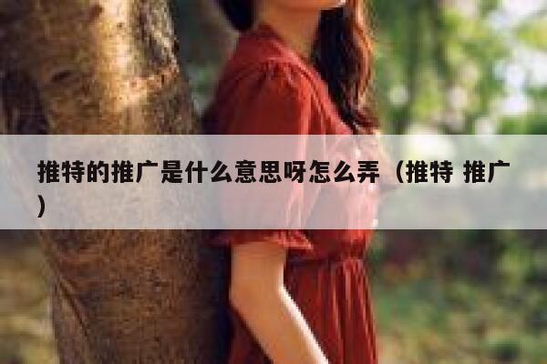 推特的推广是什么意思呀怎么弄（推特 推广） 第1张