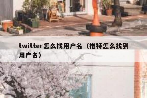 twitter怎么找用户名（推特怎么找到用户名） 第1张