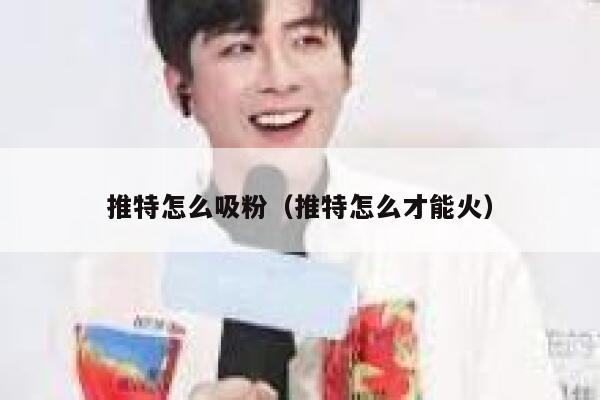 推特怎么吸粉（推特怎么才能火） 第1张