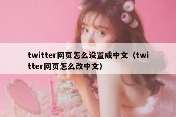 twitter网页怎么设置成中文（twitter网页怎么改中文） 第1张